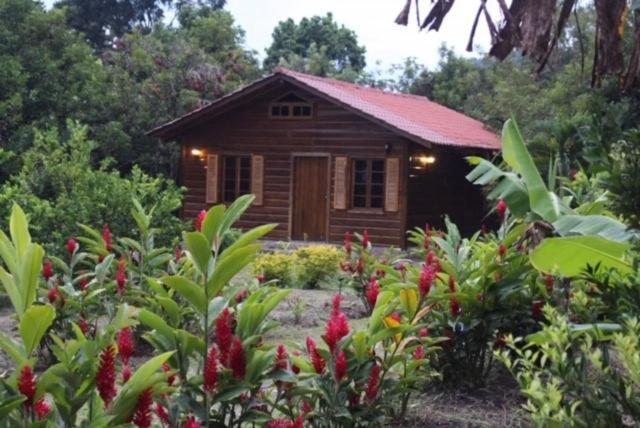 Hospedaje En El Lago San Pedro Sula Exteriör bild
